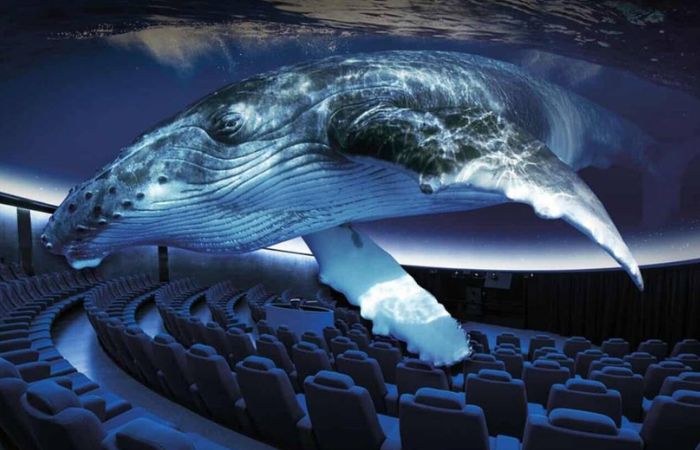 Aquadome 3D cinema en Palma Aquarium
