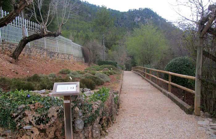 Jardín Botánico Torre del Vinagre en Jaén