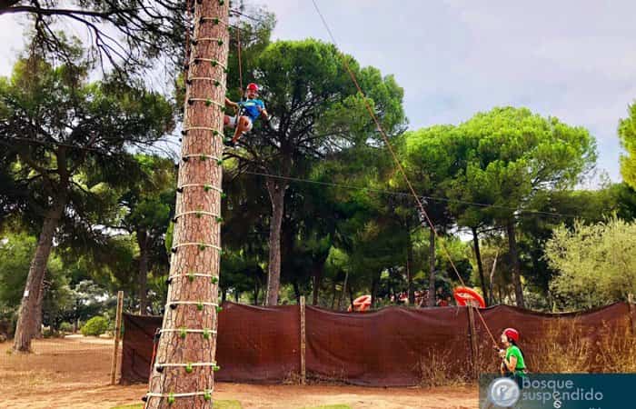 El Bosque Suspendido, parque de aventura en los árboles en Sevilla