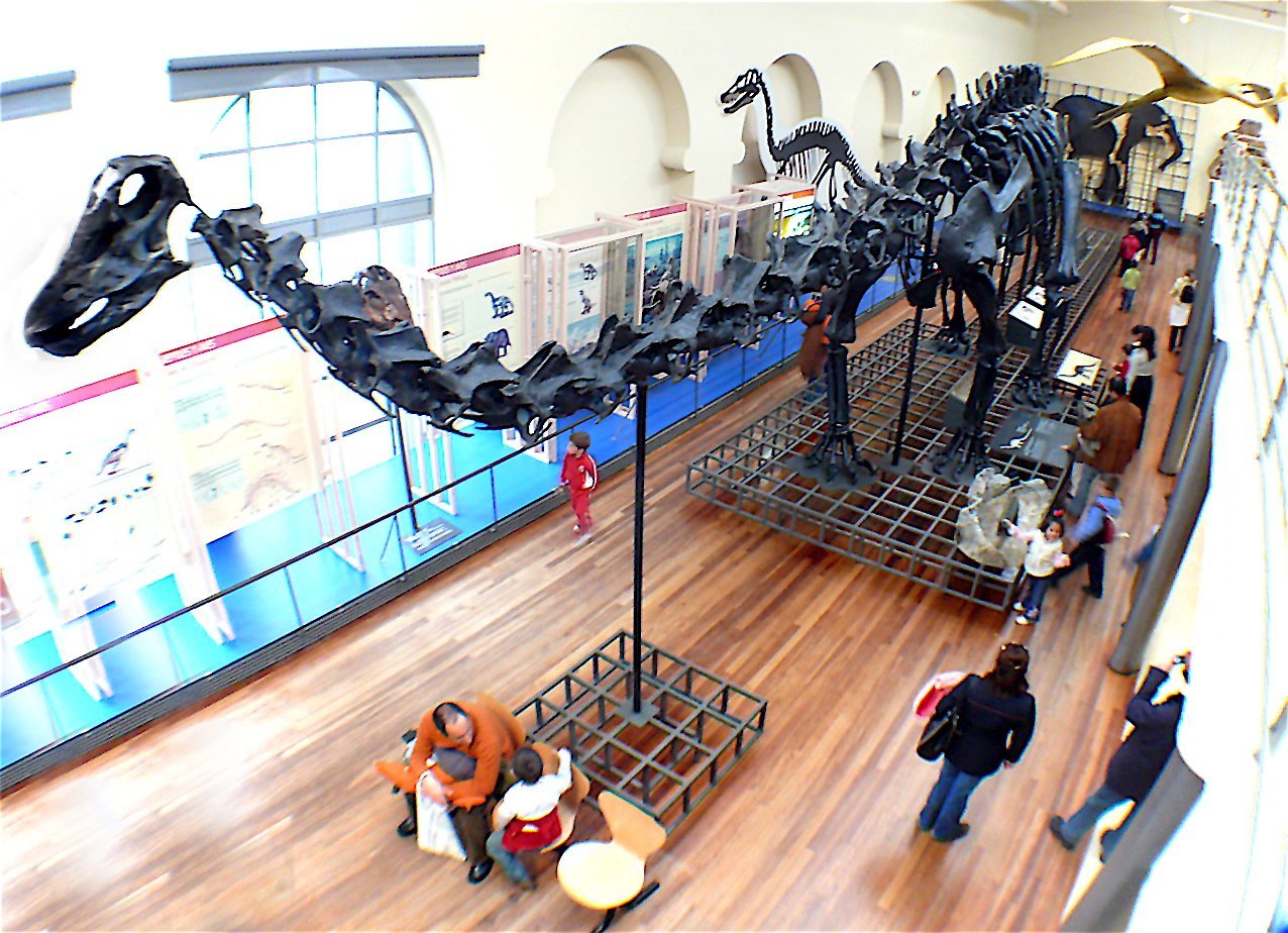 Museo Nacional de Ciencias Naturales (MNCN) de Madrid