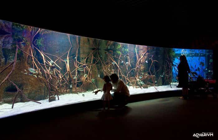 Aquarium San Sebastián