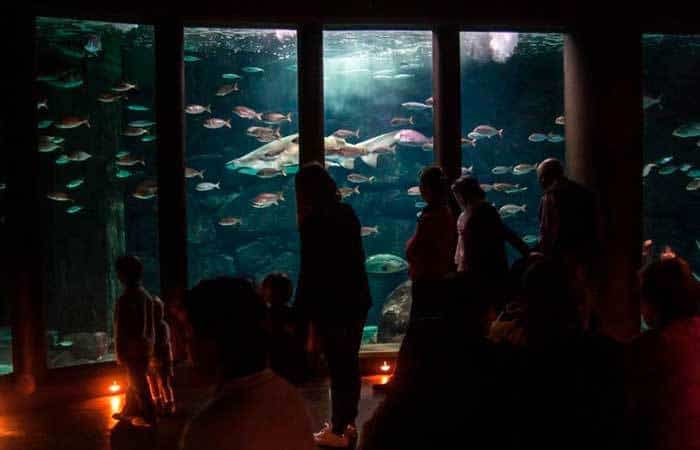 Aquarium Finisterrae en A Coruña