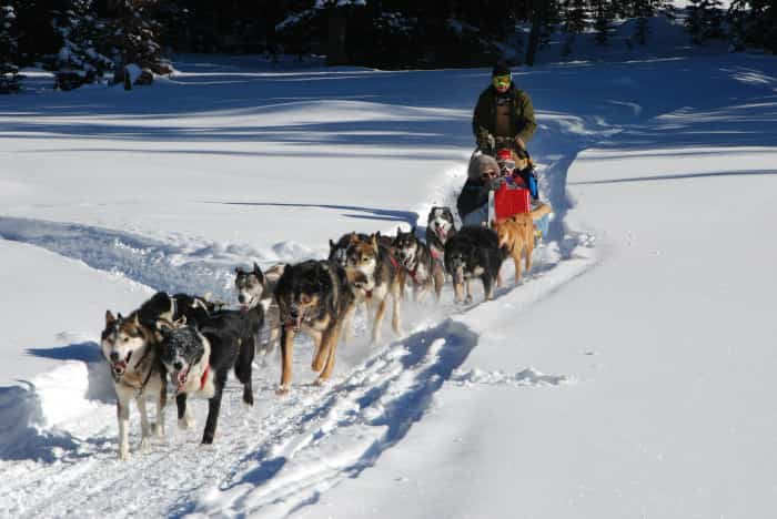 deportes-en-la-nieve-trineo-con-perros