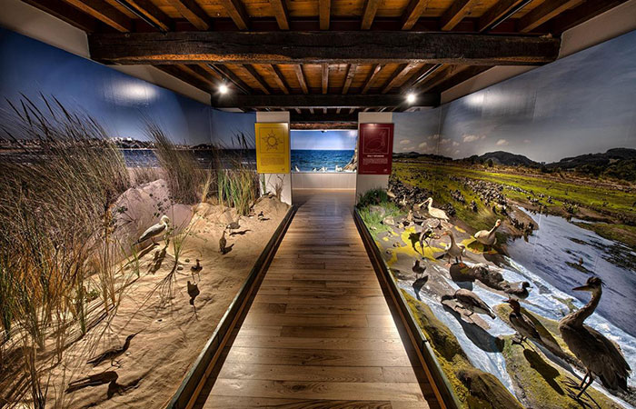 Sala del Museo de la Naturaleza de Cantabria