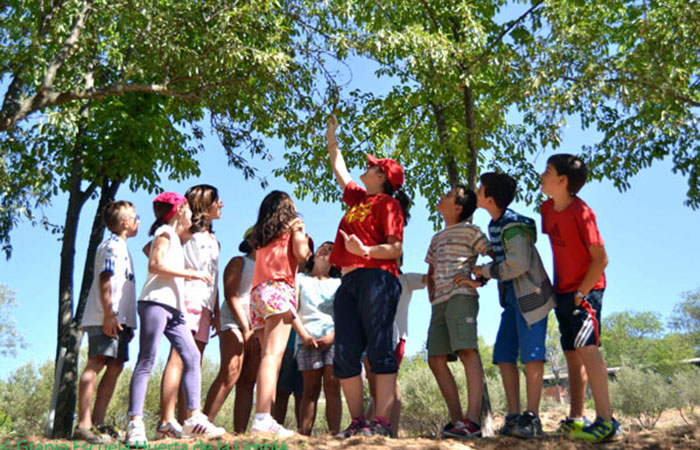 Recogiendo frutas en la Granja Escuela Huerta La Limpia, en Guadalajara