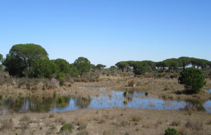 Parques Nacionales de España: Doñana, Andalucía
