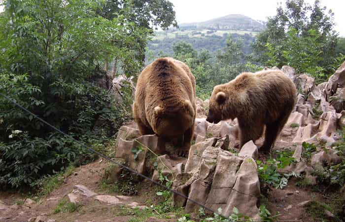 Zoo La Grandera en Cangas de Onís, Asturias