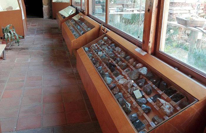 Sala de paleontología en el Museo Comarcal de Molina de Aragón