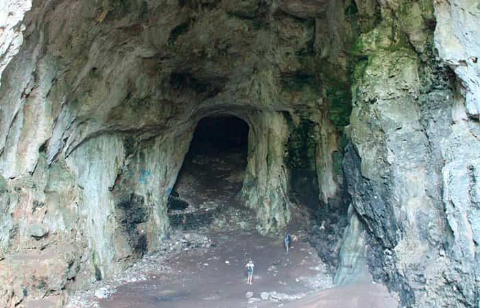 Cueva des Coloms