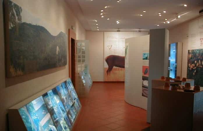 Museo de la Fauna