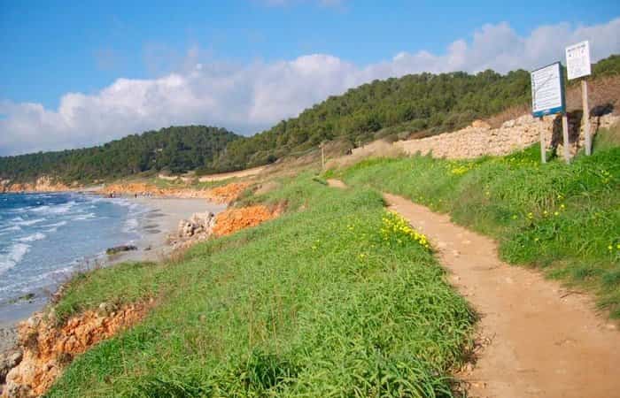 Playa de Binigaus