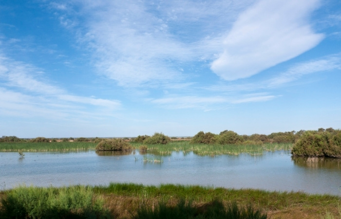 Parque Nacional de Doñana, Patrimonio de la Humanidad