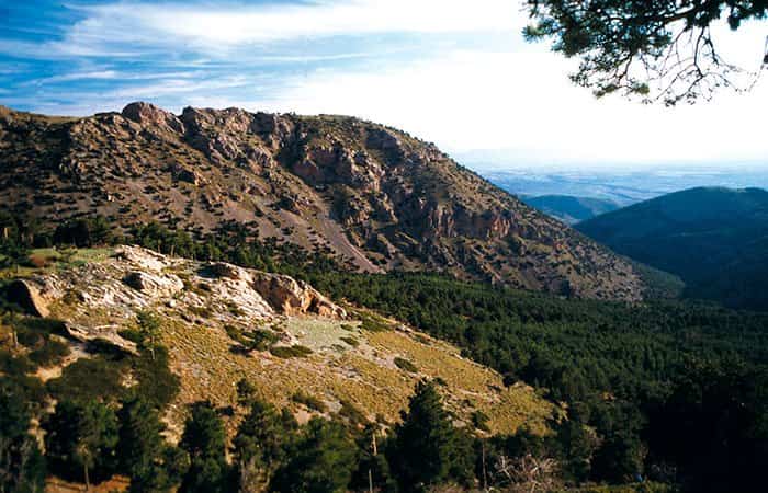 Parque Natural Sierra de Baza en Granada
