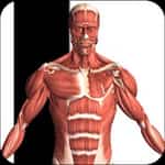 apps para aprender el cuerpo humano