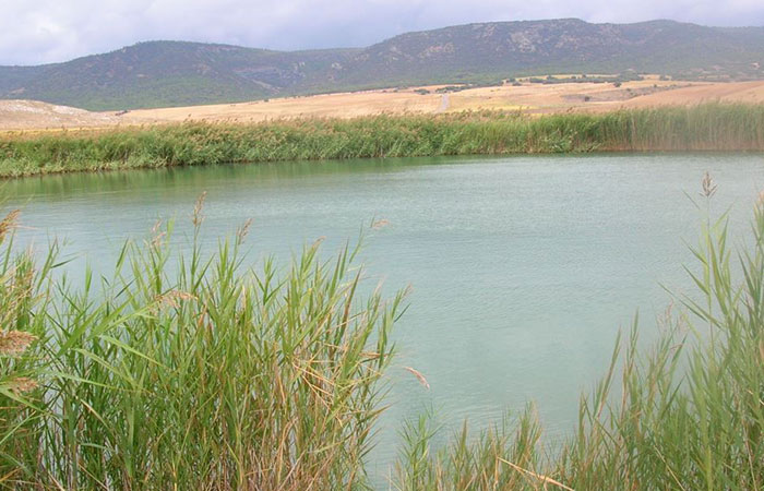 Laguna de Mohorte, Complejo Lagunar del Río Moscas, en Fuentes, Cuenca
