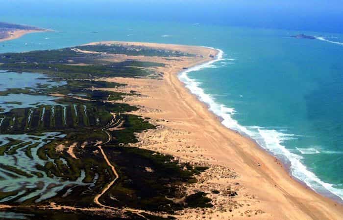 Parque Natural de la Bahía de Cádiz