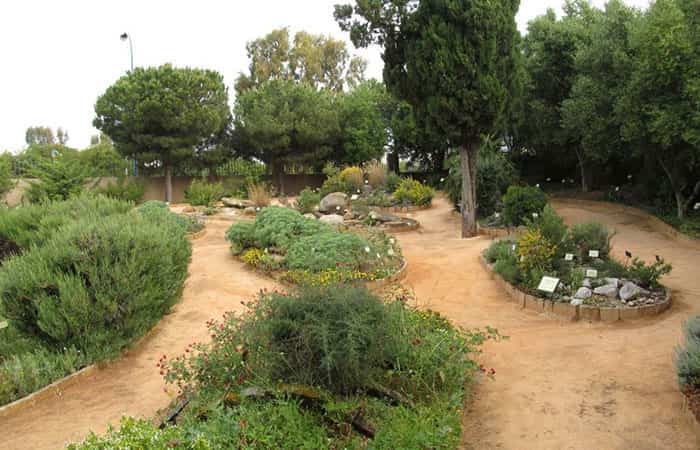 Jardín Botánico de San Fernando en Cádiz