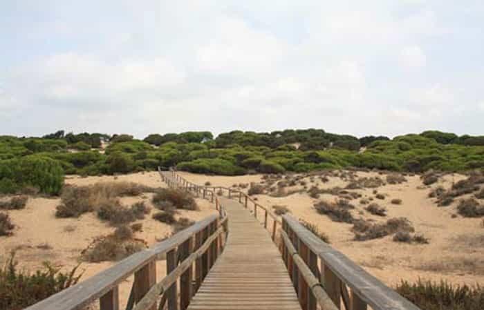 Paraje Natural Los Enebrales de Punta Umbria, en Huelva