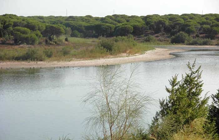 Reserva Natural Laguna de El Portil en Huelva