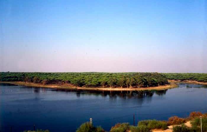 Laguna de El Potril