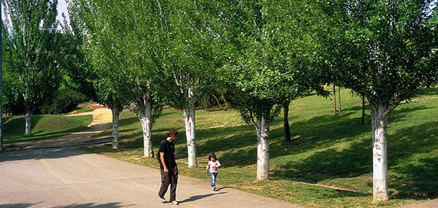 Parc del Turonet a Cerdanyola del Vallés