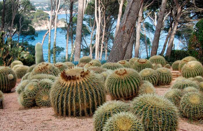 Jardín Botánico de Cap Roig en Calella de Palafrugell, Girona