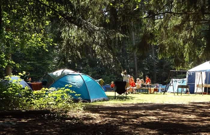 Ir de acampada con niños puede ser toda una experiencia tanto para ellos como para los padres