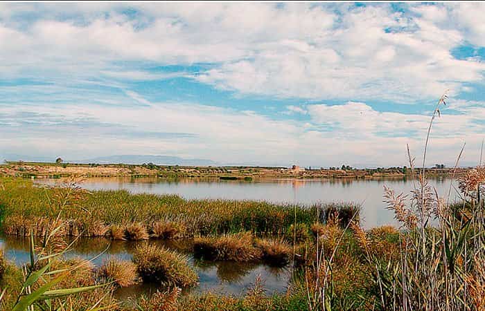Ruta ornitológica en el Lago de Ivars y Vila-Sana en Lleida