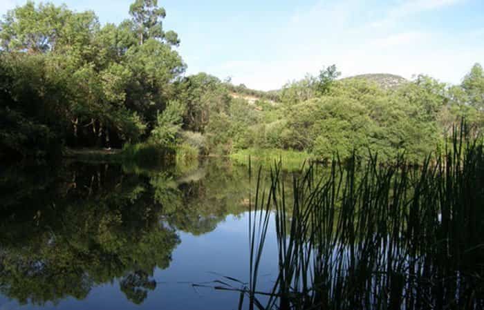 Río Bullaque y Tabla de la Yedra en Piedrabuena, Ciudad Real