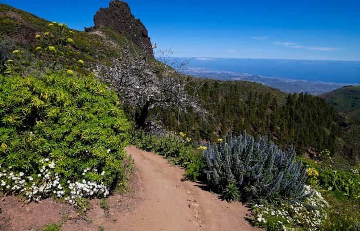 Rutas por Valsequillo de Gran Canaria