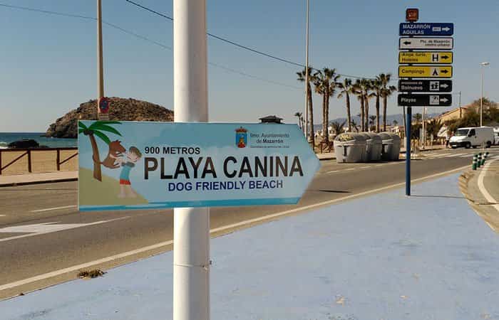 Playa canina