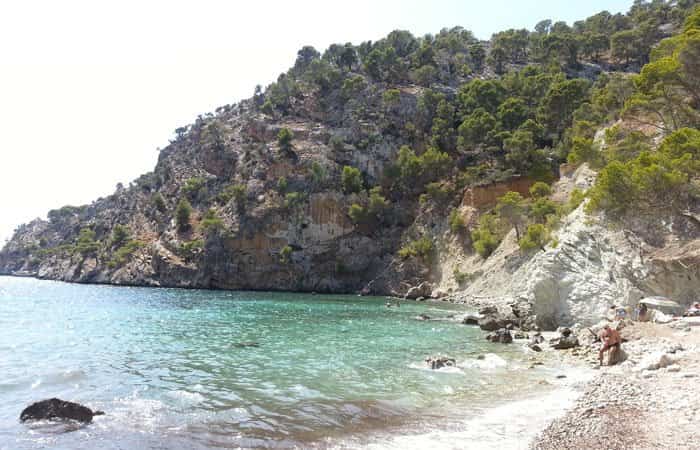Playas para perros en Mallorca