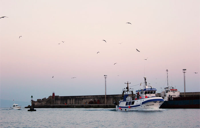 Puerto pesquero de Barbate, en Cádiz