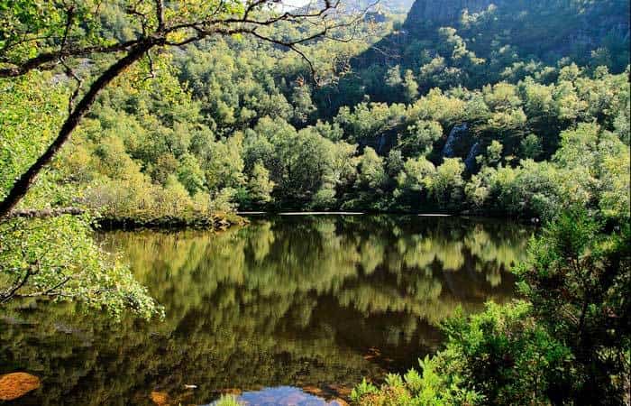 Parque Natural de las Fuentes del Narcea, Degaña e Ibias en Asturias