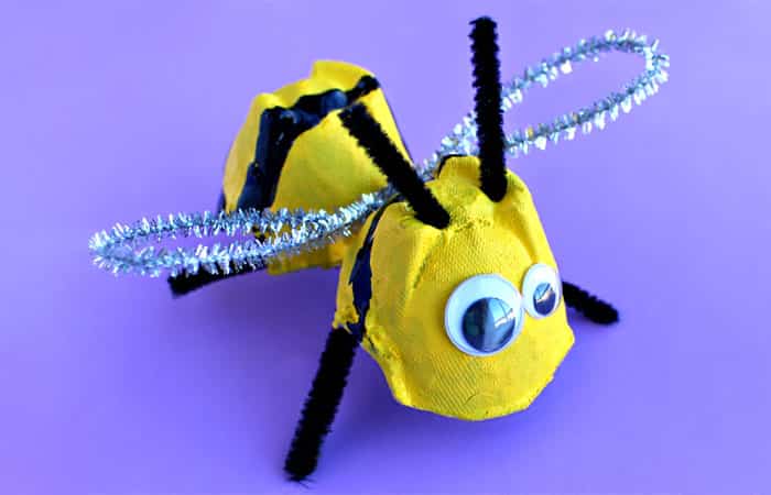 Animales con hueveras de cartón, abeja
