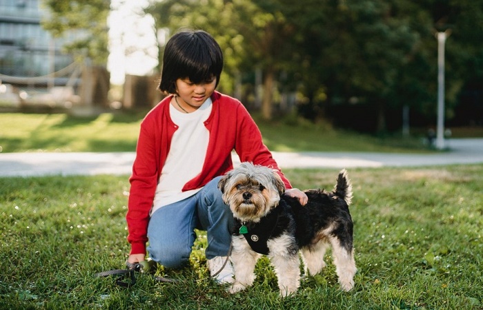 Beneficios para los niños de tener una mascota en casa consejos