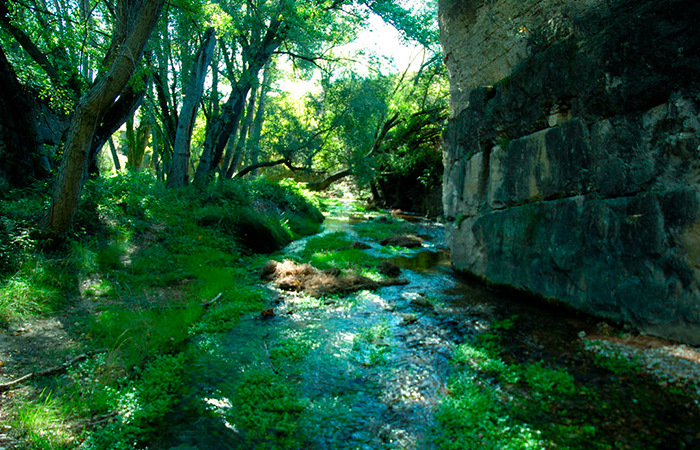 Camino Natural del río Guadalaviar en San Blas, Teruel