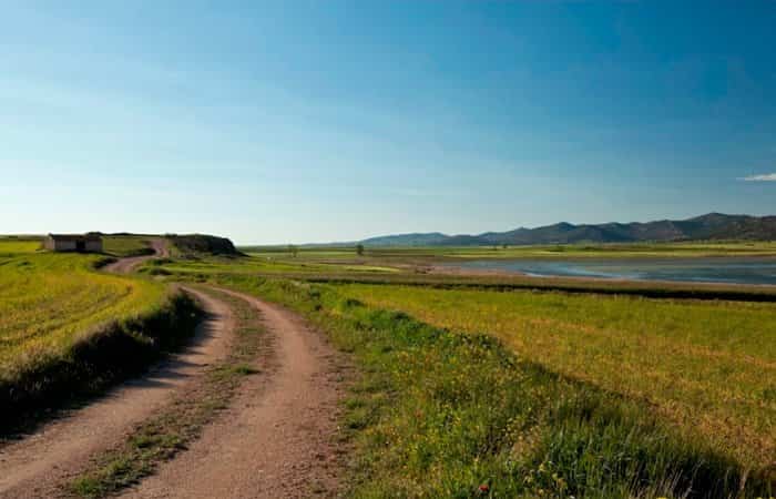 Parque Natural de la Laguna de Gallocanta 