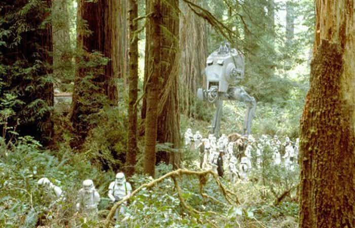 Lugares para fans de Star Wars | Parque Nacional Redwood