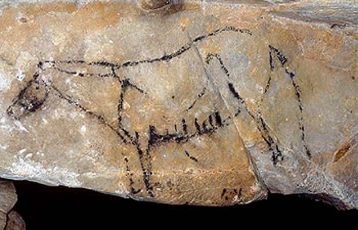 Dibujo del caballo en la cueva Las Monedas