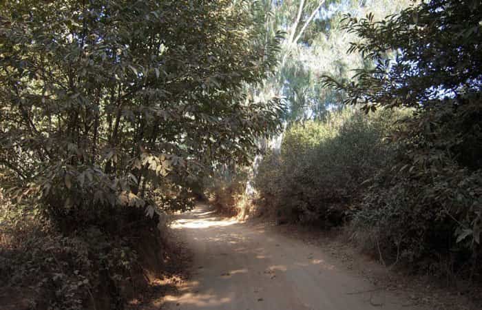 Camino andalusí
