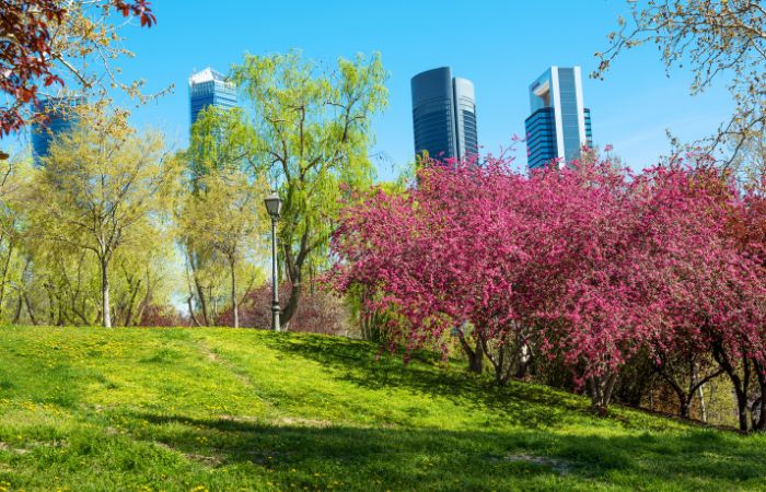 Planes para primavera en Madrid: uno para cada fin de semana