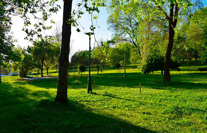 Parque Doctor Morales en Santander