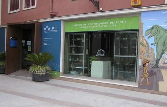 Museo Paleontológico de Elche en Alicante