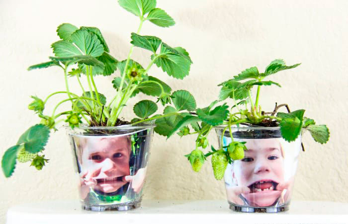 crear un jardín dentro de casa: macetas con caras divertidas