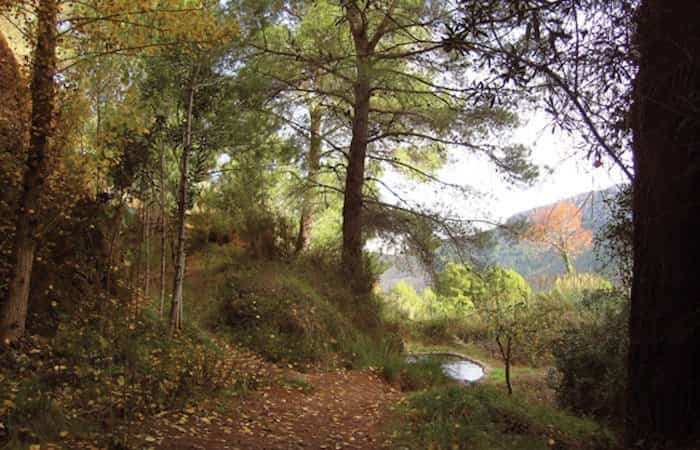 Parque Natural del Desierto de las Palmas en Castellón