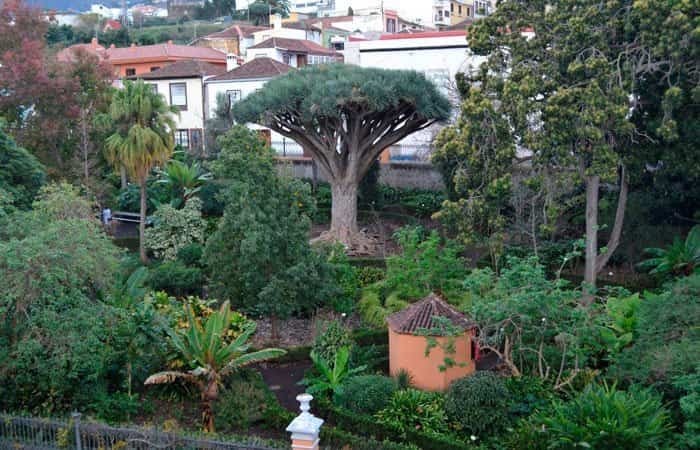 Parque Hijuela del Botánico en La Orotava, Tenerife