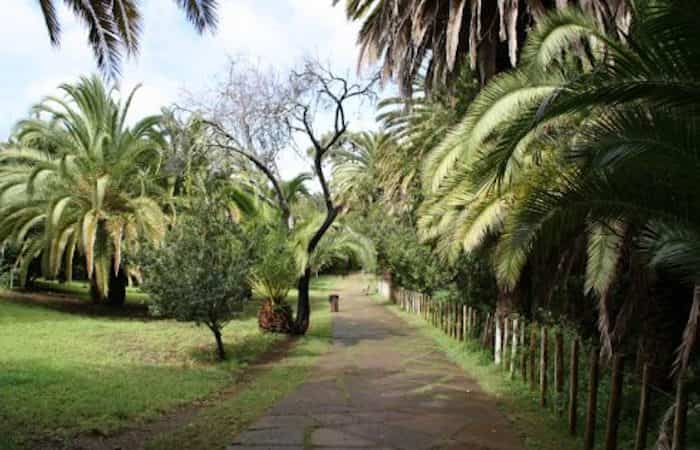Jardines de Hamilton en Tacoronte, Tenerife