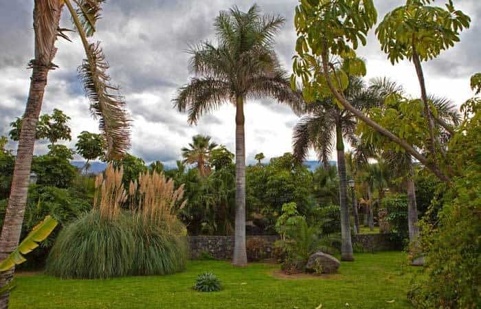 Parque de Taoro en Santa Cruz de Tenerife