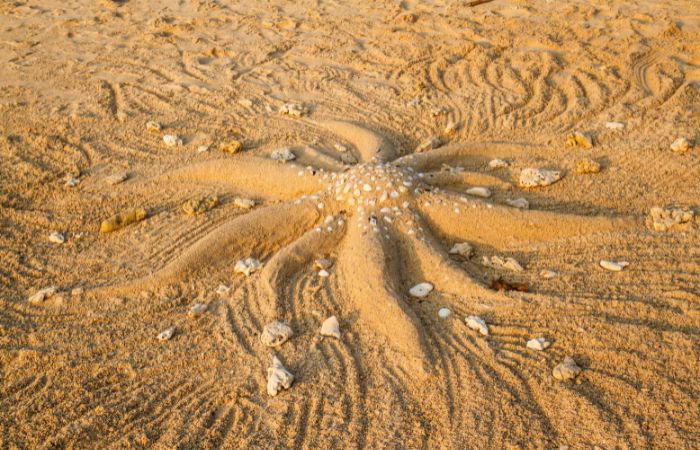 Juegos en la playa con la arena: adivina mi escultura